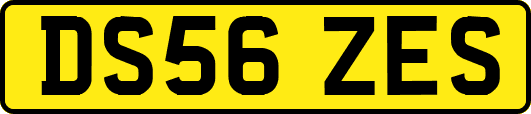 DS56ZES