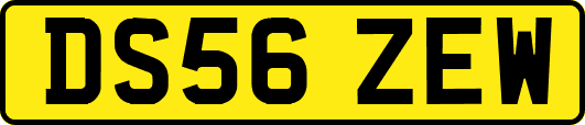 DS56ZEW