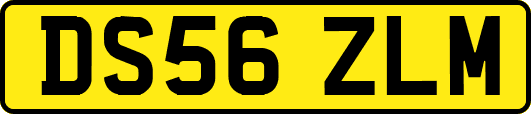 DS56ZLM