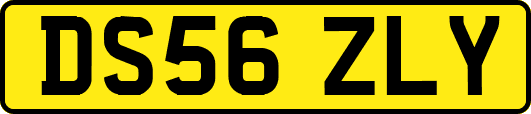 DS56ZLY