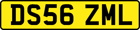 DS56ZML