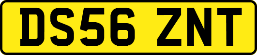 DS56ZNT