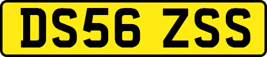 DS56ZSS