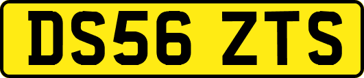 DS56ZTS