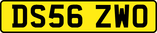 DS56ZWO