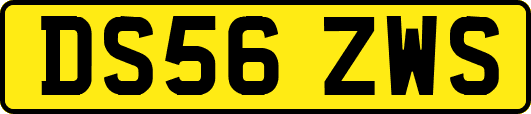 DS56ZWS