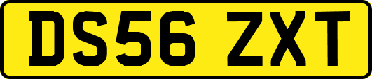 DS56ZXT