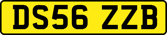 DS56ZZB