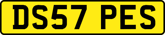 DS57PES