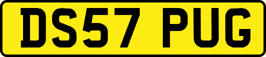 DS57PUG