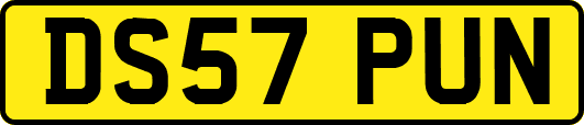 DS57PUN