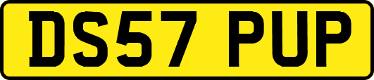 DS57PUP