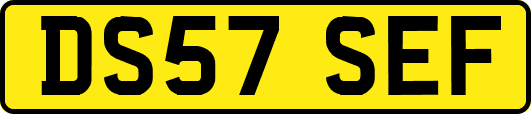DS57SEF