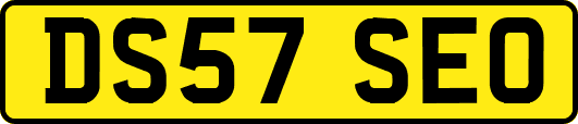 DS57SEO