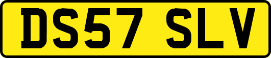 DS57SLV
