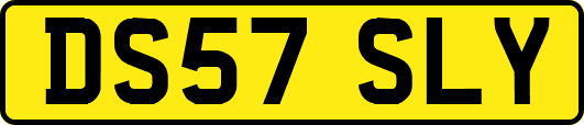 DS57SLY
