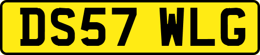DS57WLG
