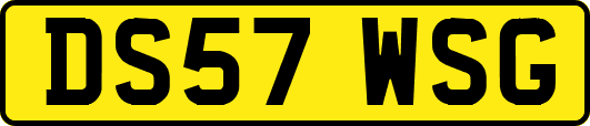 DS57WSG