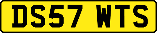 DS57WTS