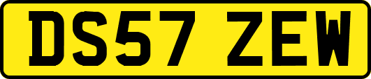 DS57ZEW