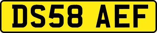 DS58AEF