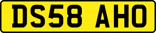 DS58AHO