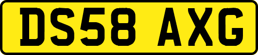 DS58AXG