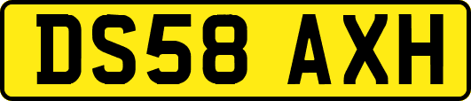 DS58AXH