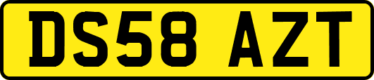 DS58AZT