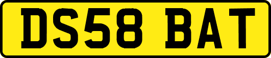 DS58BAT