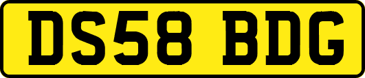 DS58BDG