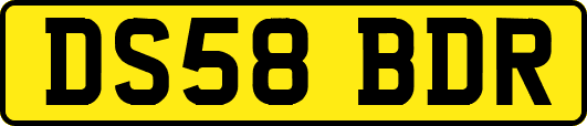 DS58BDR