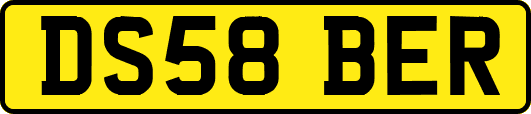 DS58BER