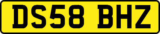 DS58BHZ