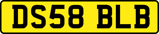 DS58BLB