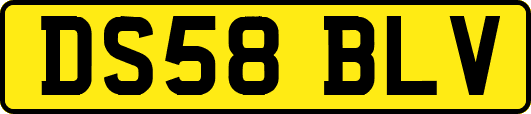 DS58BLV