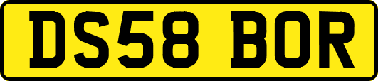 DS58BOR