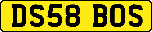 DS58BOS