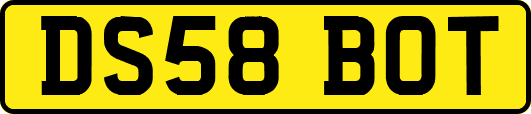 DS58BOT