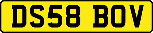 DS58BOV