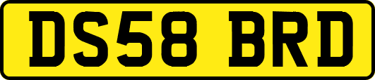 DS58BRD