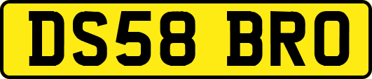 DS58BRO