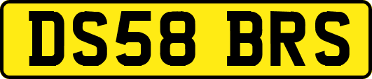 DS58BRS