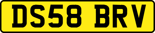 DS58BRV