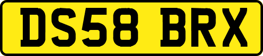 DS58BRX