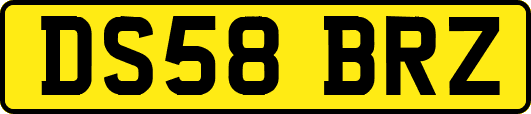 DS58BRZ