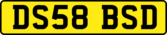 DS58BSD