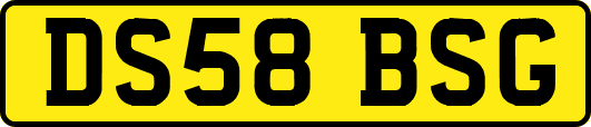 DS58BSG