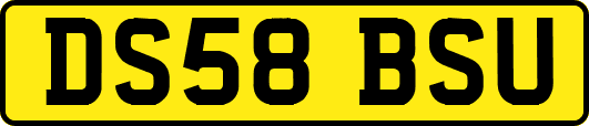 DS58BSU