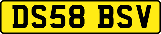 DS58BSV